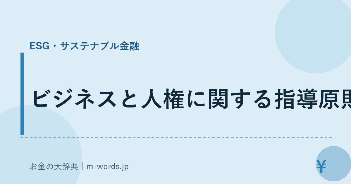 ビジネスと人権に関する指導原則｜ESG・サステナブル金融｜お金の大辞典