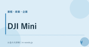 DJI Mini